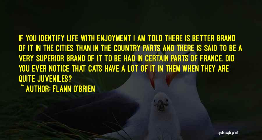 Flann O'Brien Quotes: If You Identify Life With Enjoyment I Am Told There Is Better Brand Of It In The Cities Than In