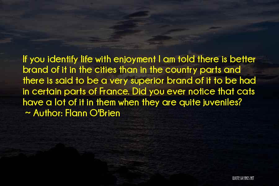 Flann O'Brien Quotes: If You Identify Life With Enjoyment I Am Told There Is Better Brand Of It In The Cities Than In