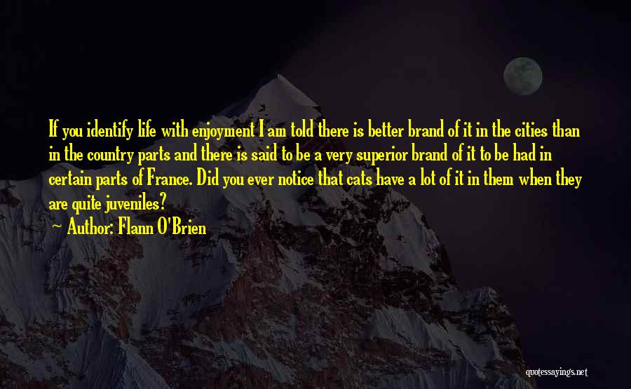 Flann O'Brien Quotes: If You Identify Life With Enjoyment I Am Told There Is Better Brand Of It In The Cities Than In