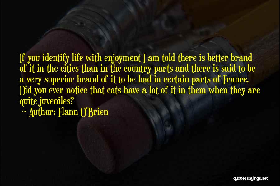 Flann O'Brien Quotes: If You Identify Life With Enjoyment I Am Told There Is Better Brand Of It In The Cities Than In