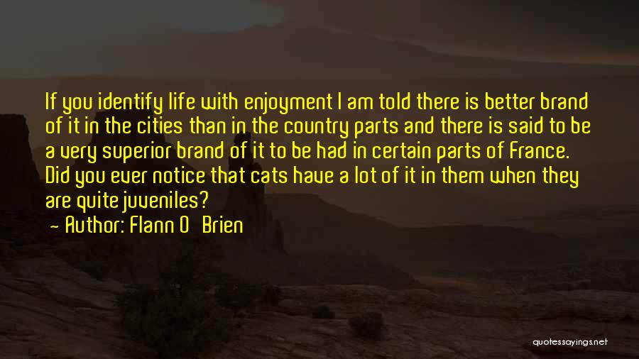 Flann O'Brien Quotes: If You Identify Life With Enjoyment I Am Told There Is Better Brand Of It In The Cities Than In