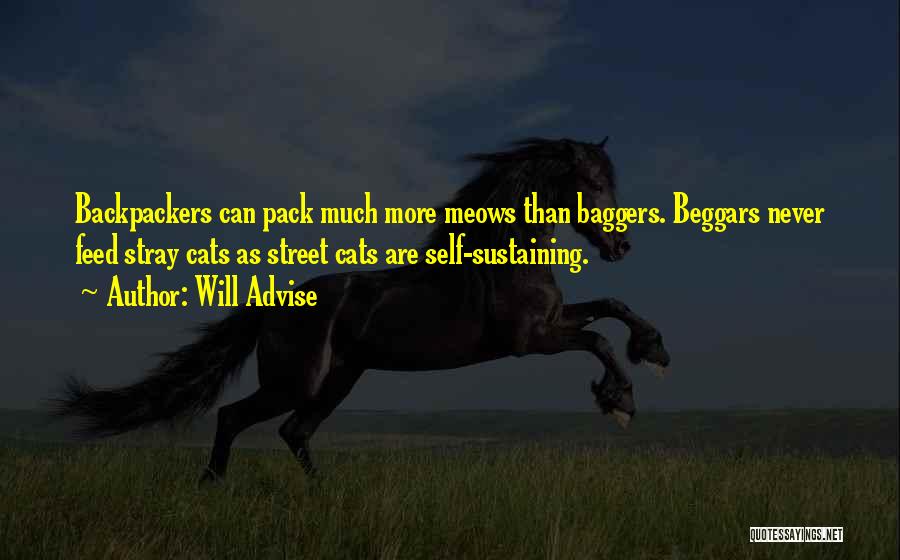 Will Advise Quotes: Backpackers Can Pack Much More Meows Than Baggers. Beggars Never Feed Stray Cats As Street Cats Are Self-sustaining.