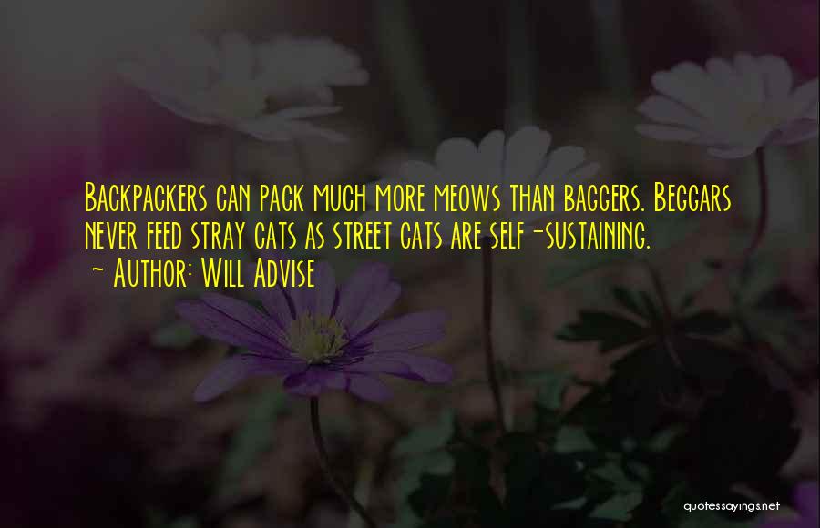 Will Advise Quotes: Backpackers Can Pack Much More Meows Than Baggers. Beggars Never Feed Stray Cats As Street Cats Are Self-sustaining.