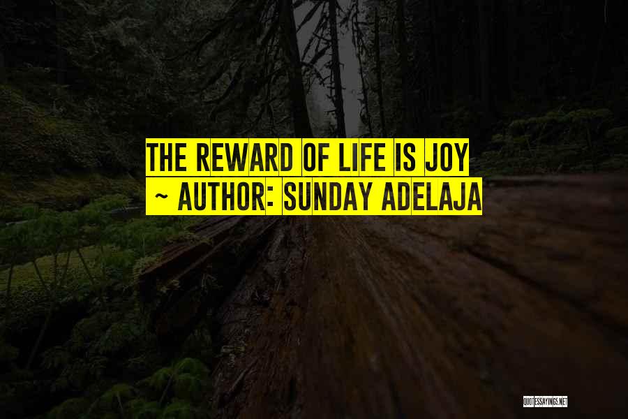 Sunday Adelaja Quotes: The Reward Of Life Is Joy