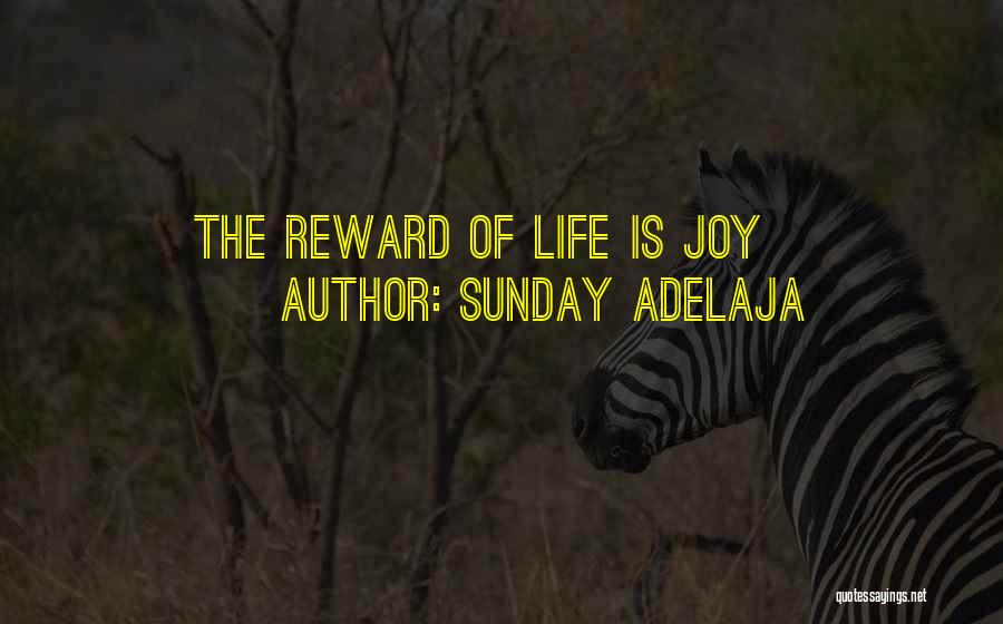 Sunday Adelaja Quotes: The Reward Of Life Is Joy