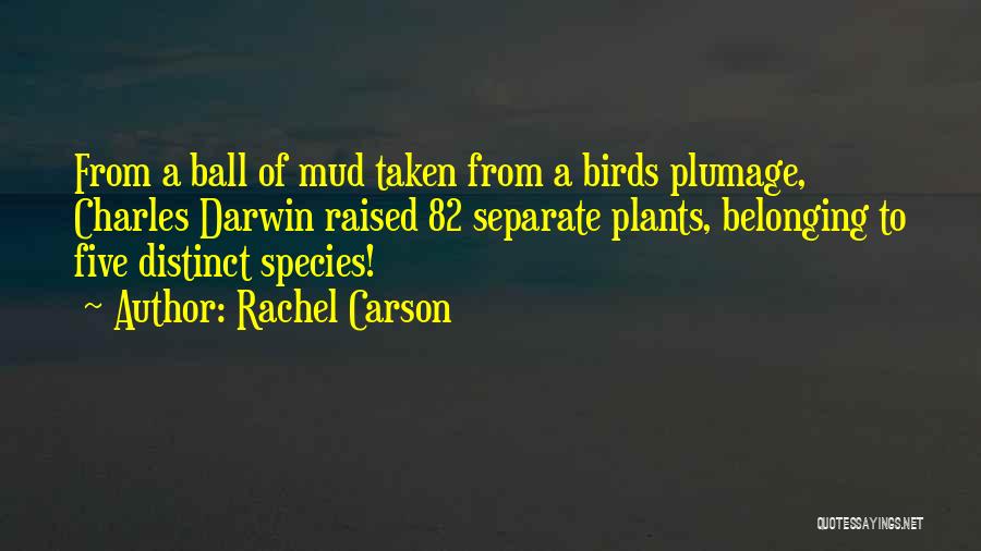 Rachel Carson Quotes: From A Ball Of Mud Taken From A Birds Plumage, Charles Darwin Raised 82 Separate Plants, Belonging To Five Distinct