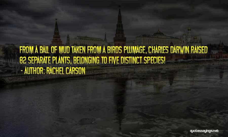 Rachel Carson Quotes: From A Ball Of Mud Taken From A Birds Plumage, Charles Darwin Raised 82 Separate Plants, Belonging To Five Distinct