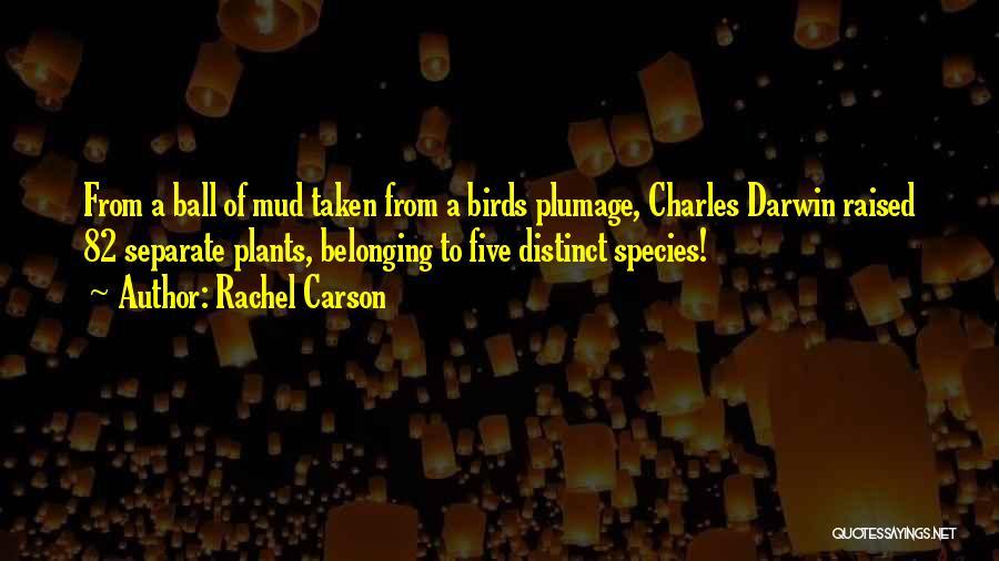 Rachel Carson Quotes: From A Ball Of Mud Taken From A Birds Plumage, Charles Darwin Raised 82 Separate Plants, Belonging To Five Distinct