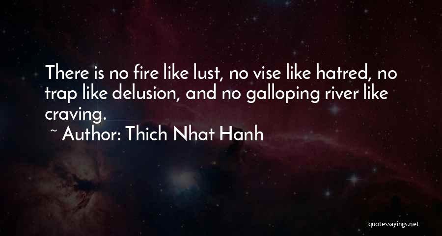 Thich Nhat Hanh Quotes: There Is No Fire Like Lust, No Vise Like Hatred, No Trap Like Delusion, And No Galloping River Like Craving.