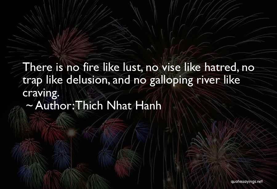 Thich Nhat Hanh Quotes: There Is No Fire Like Lust, No Vise Like Hatred, No Trap Like Delusion, And No Galloping River Like Craving.
