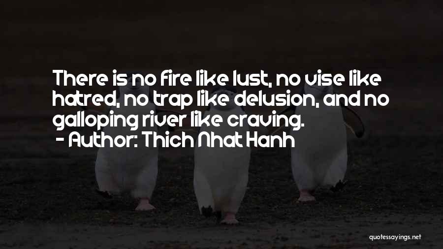 Thich Nhat Hanh Quotes: There Is No Fire Like Lust, No Vise Like Hatred, No Trap Like Delusion, And No Galloping River Like Craving.