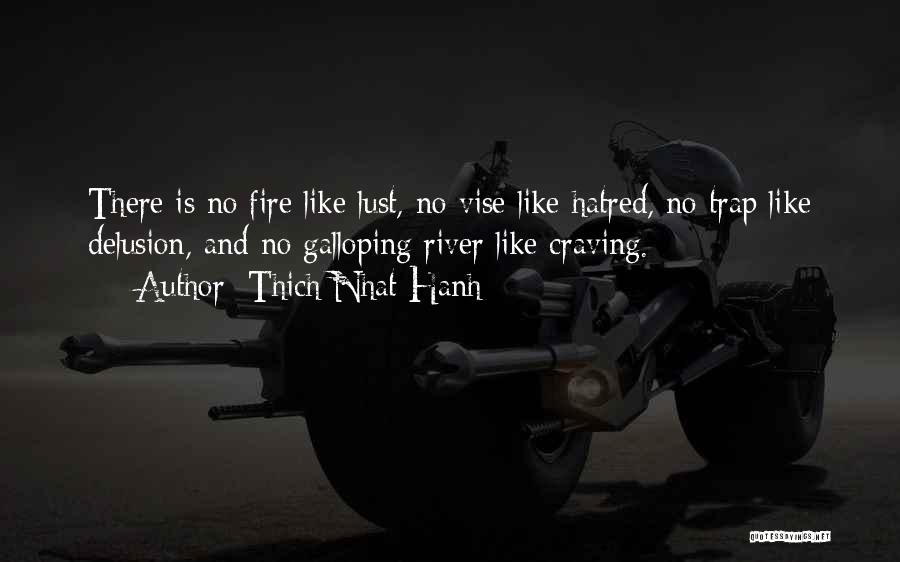 Thich Nhat Hanh Quotes: There Is No Fire Like Lust, No Vise Like Hatred, No Trap Like Delusion, And No Galloping River Like Craving.