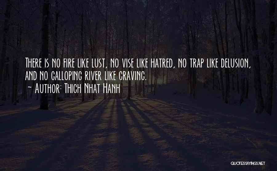 Thich Nhat Hanh Quotes: There Is No Fire Like Lust, No Vise Like Hatred, No Trap Like Delusion, And No Galloping River Like Craving.