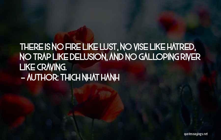 Thich Nhat Hanh Quotes: There Is No Fire Like Lust, No Vise Like Hatred, No Trap Like Delusion, And No Galloping River Like Craving.