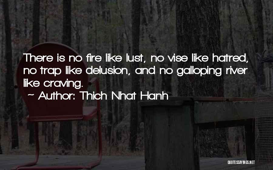 Thich Nhat Hanh Quotes: There Is No Fire Like Lust, No Vise Like Hatred, No Trap Like Delusion, And No Galloping River Like Craving.