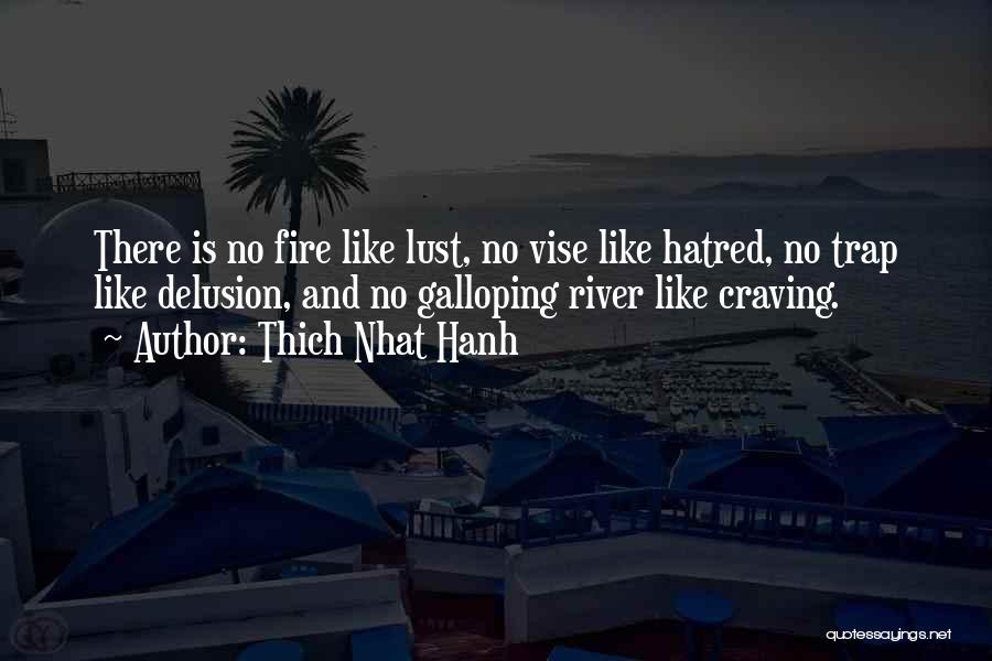 Thich Nhat Hanh Quotes: There Is No Fire Like Lust, No Vise Like Hatred, No Trap Like Delusion, And No Galloping River Like Craving.