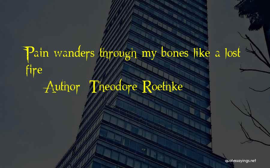 Theodore Roethke Quotes: Pain Wanders Through My Bones Like A Lost Fire