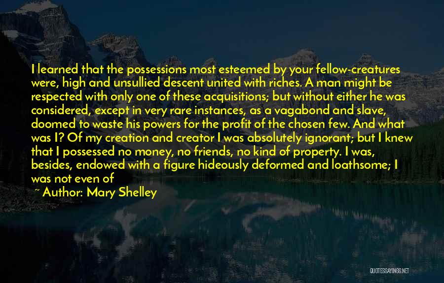 Mary Shelley Quotes: I Learned That The Possessions Most Esteemed By Your Fellow-creatures Were, High And Unsullied Descent United With Riches. A Man