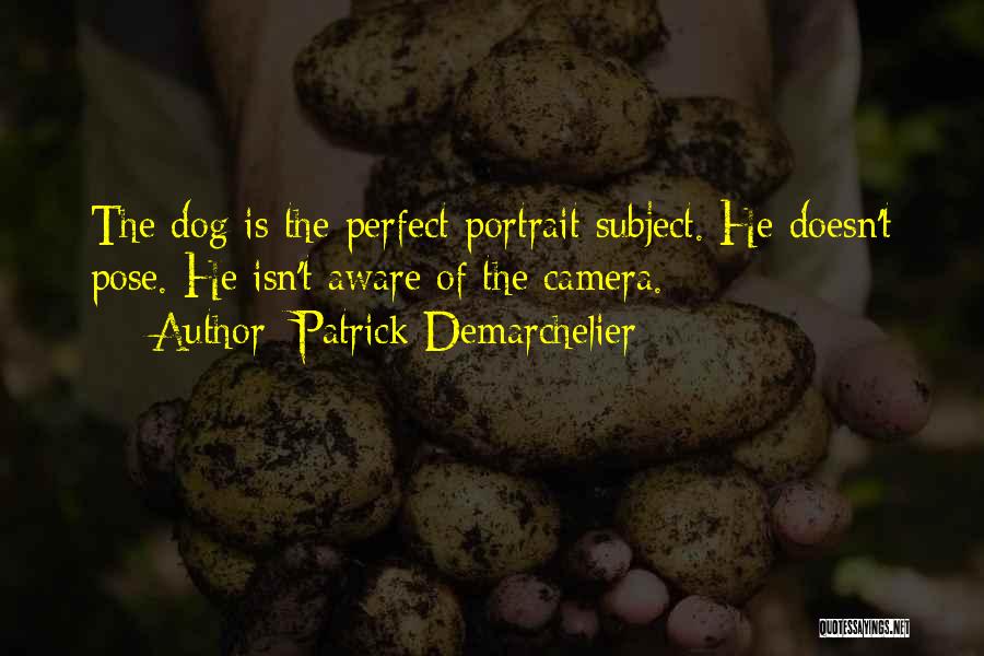 Patrick Demarchelier Quotes: The Dog Is The Perfect Portrait Subject. He Doesn't Pose. He Isn't Aware Of The Camera.