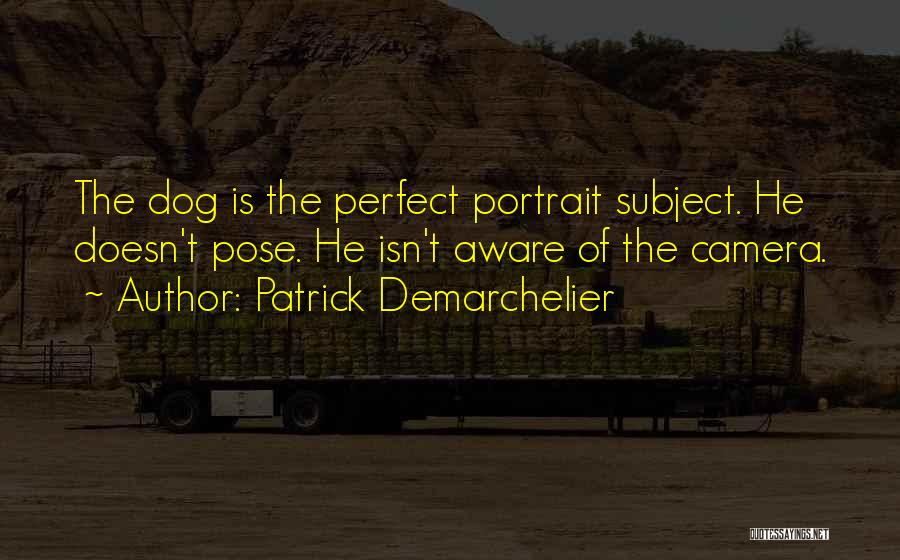 Patrick Demarchelier Quotes: The Dog Is The Perfect Portrait Subject. He Doesn't Pose. He Isn't Aware Of The Camera.