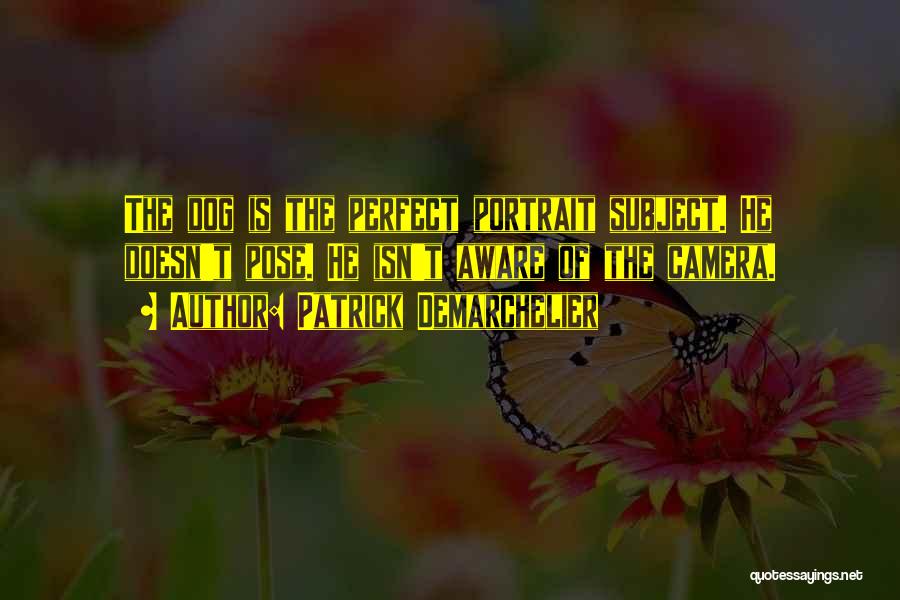 Patrick Demarchelier Quotes: The Dog Is The Perfect Portrait Subject. He Doesn't Pose. He Isn't Aware Of The Camera.