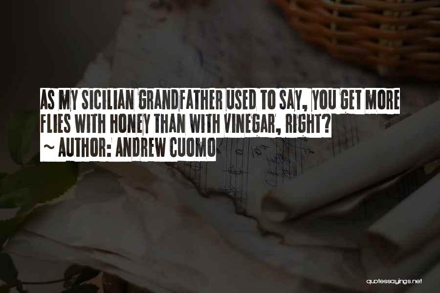 Andrew Cuomo Quotes: As My Sicilian Grandfather Used To Say, You Get More Flies With Honey Than With Vinegar, Right?