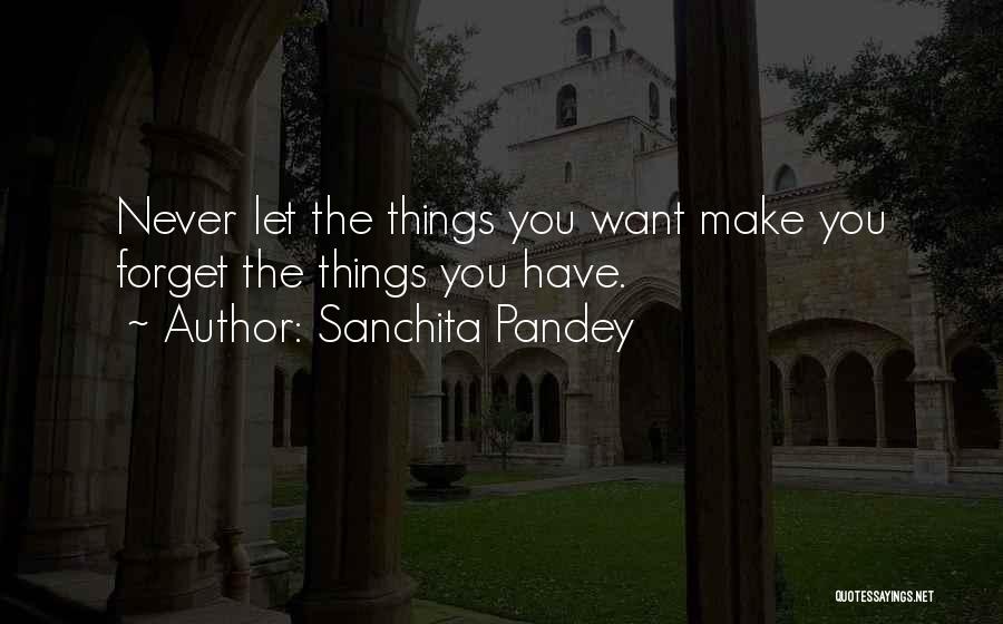 Sanchita Pandey Quotes: Never Let The Things You Want Make You Forget The Things You Have.