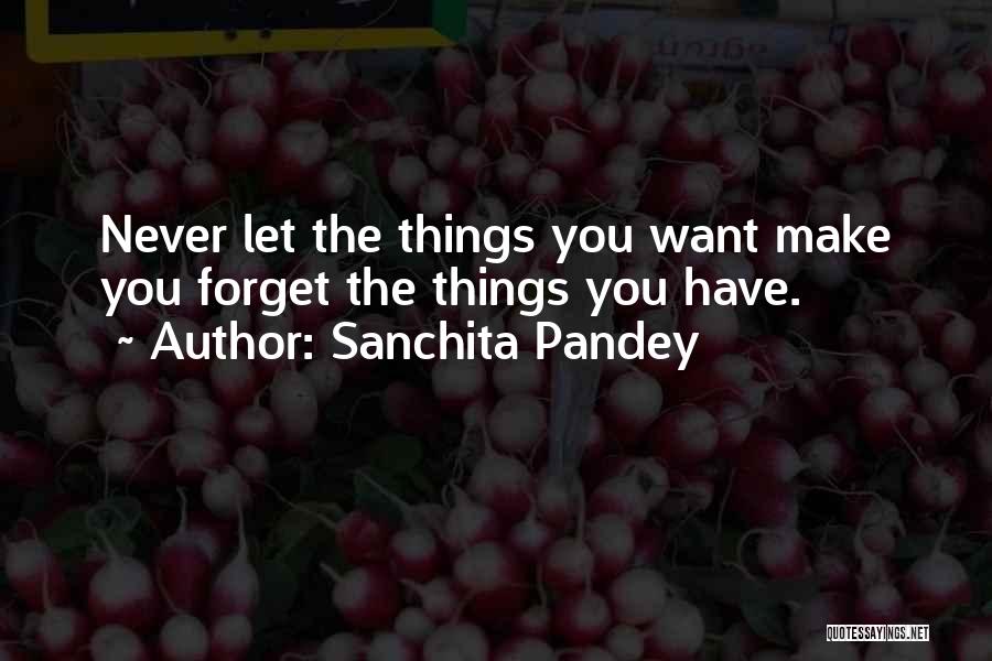 Sanchita Pandey Quotes: Never Let The Things You Want Make You Forget The Things You Have.