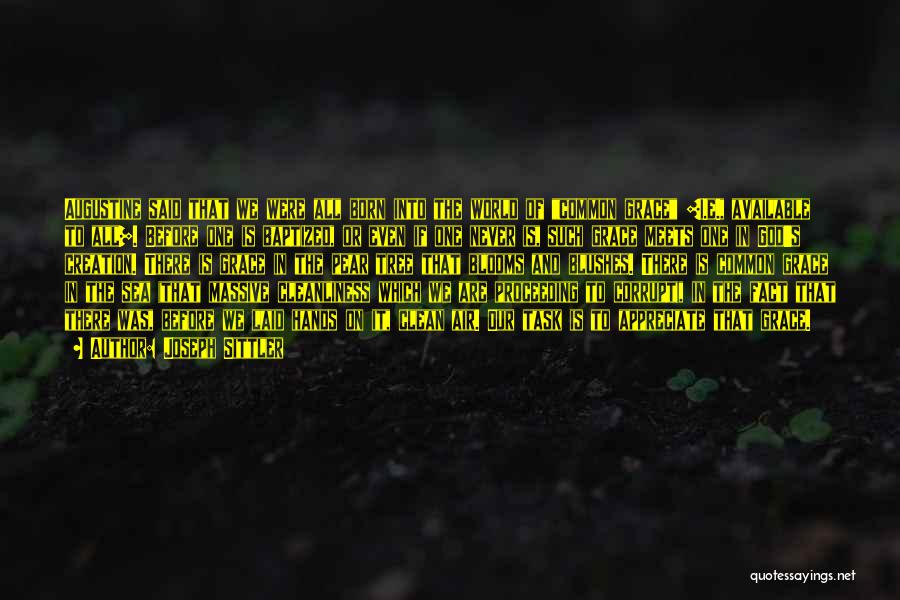 Joseph Sittler Quotes: Augustine Said That We Were All Born Into The World Of Common Grace [i.e., Available To All]. Before One Is