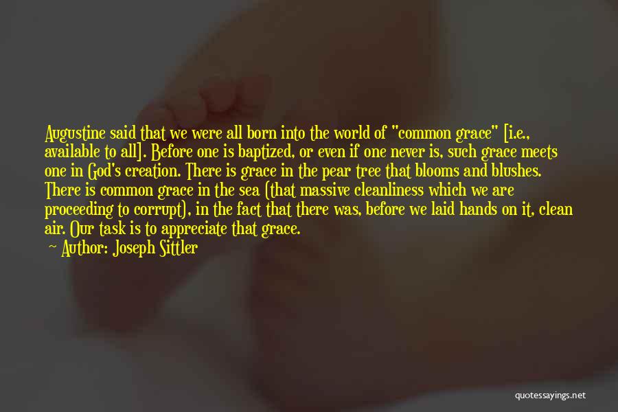 Joseph Sittler Quotes: Augustine Said That We Were All Born Into The World Of Common Grace [i.e., Available To All]. Before One Is