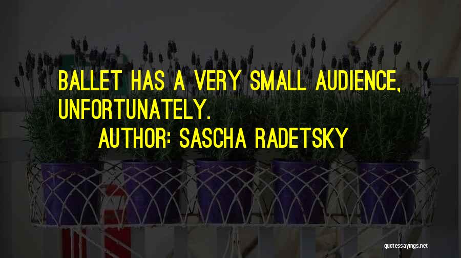 Sascha Radetsky Quotes: Ballet Has A Very Small Audience, Unfortunately.