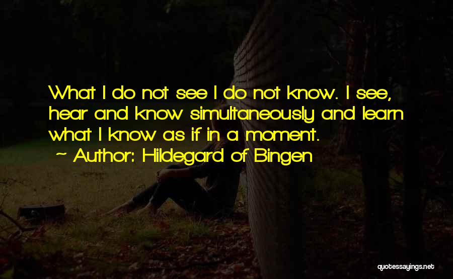 Hildegard Of Bingen Quotes: What I Do Not See I Do Not Know. I See, Hear And Know Simultaneously And Learn What I Know