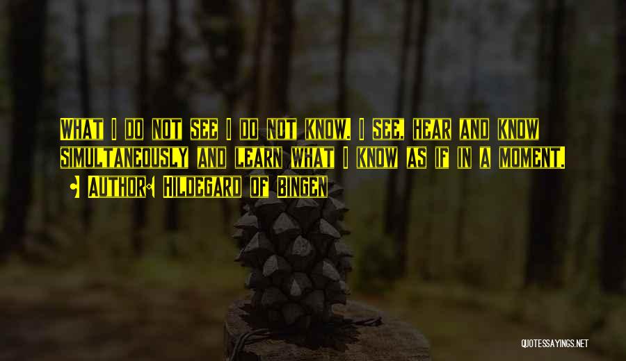 Hildegard Of Bingen Quotes: What I Do Not See I Do Not Know. I See, Hear And Know Simultaneously And Learn What I Know