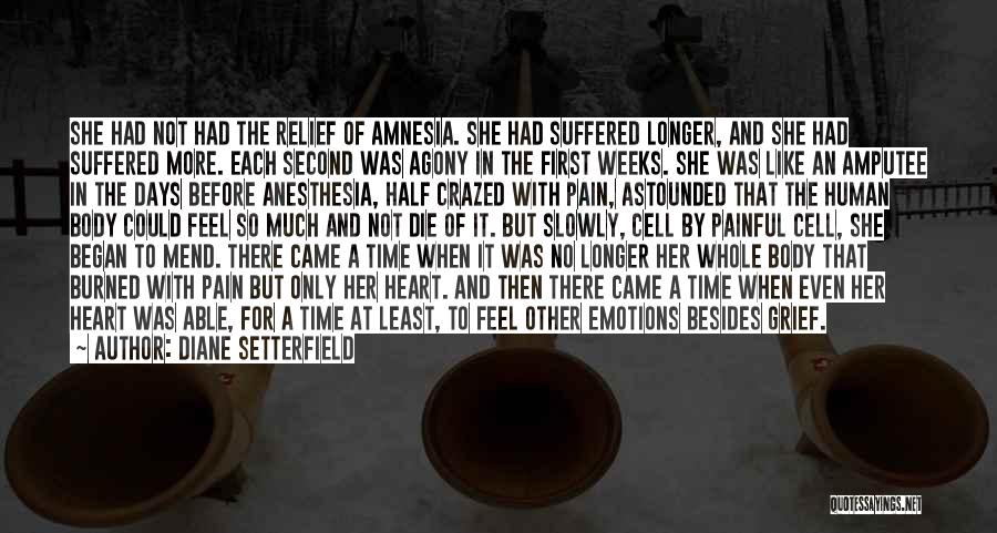 Diane Setterfield Quotes: She Had Not Had The Relief Of Amnesia. She Had Suffered Longer, And She Had Suffered More. Each Second Was