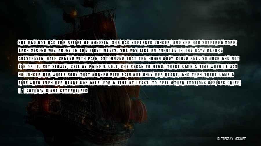 Diane Setterfield Quotes: She Had Not Had The Relief Of Amnesia. She Had Suffered Longer, And She Had Suffered More. Each Second Was