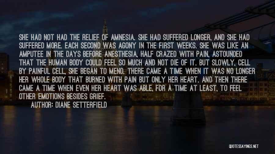 Diane Setterfield Quotes: She Had Not Had The Relief Of Amnesia. She Had Suffered Longer, And She Had Suffered More. Each Second Was