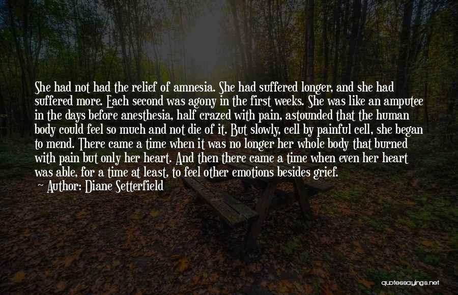 Diane Setterfield Quotes: She Had Not Had The Relief Of Amnesia. She Had Suffered Longer, And She Had Suffered More. Each Second Was