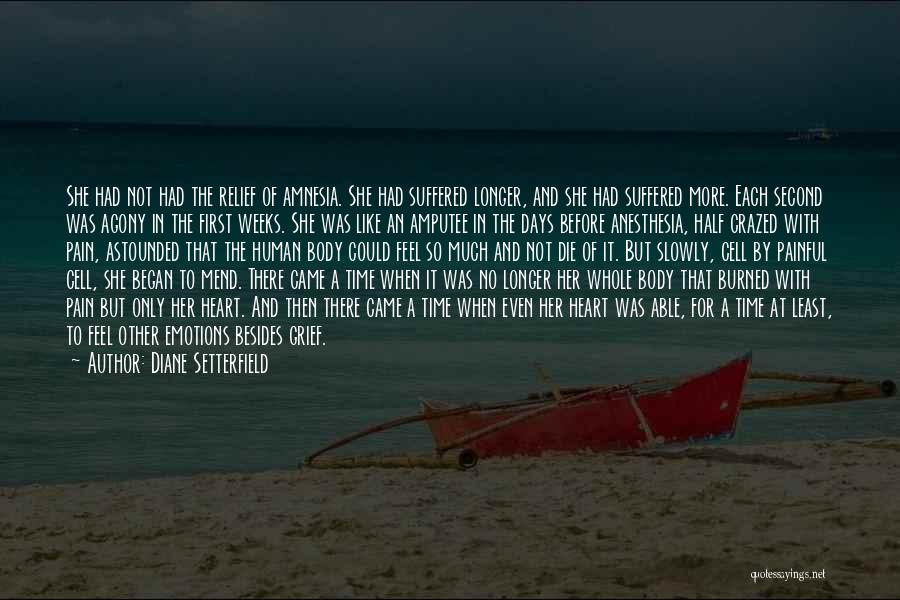 Diane Setterfield Quotes: She Had Not Had The Relief Of Amnesia. She Had Suffered Longer, And She Had Suffered More. Each Second Was