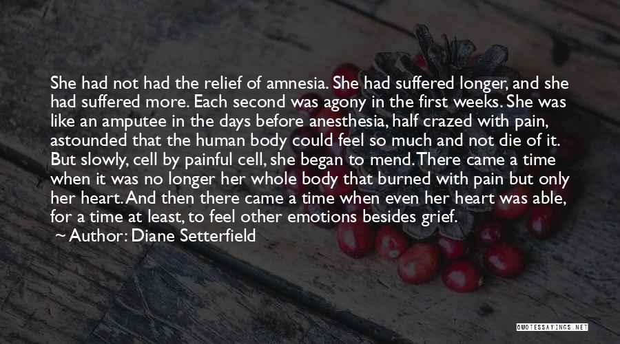 Diane Setterfield Quotes: She Had Not Had The Relief Of Amnesia. She Had Suffered Longer, And She Had Suffered More. Each Second Was