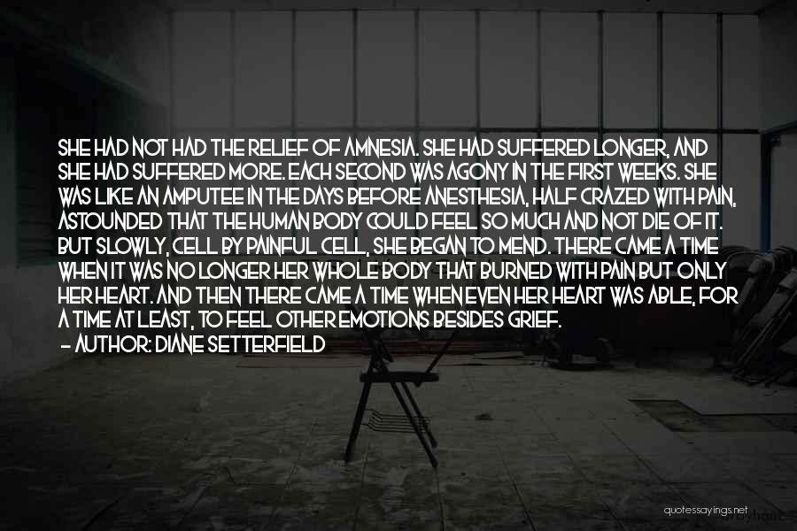 Diane Setterfield Quotes: She Had Not Had The Relief Of Amnesia. She Had Suffered Longer, And She Had Suffered More. Each Second Was