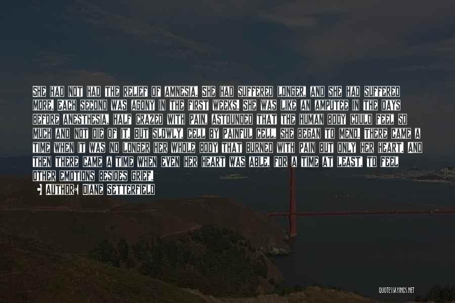 Diane Setterfield Quotes: She Had Not Had The Relief Of Amnesia. She Had Suffered Longer, And She Had Suffered More. Each Second Was