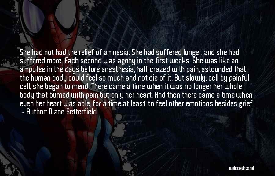 Diane Setterfield Quotes: She Had Not Had The Relief Of Amnesia. She Had Suffered Longer, And She Had Suffered More. Each Second Was