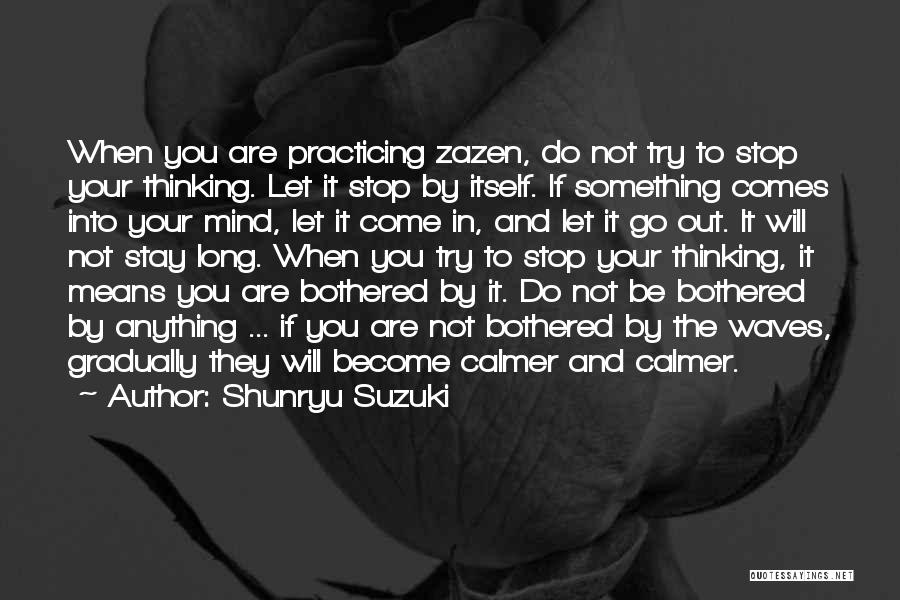 Shunryu Suzuki Quotes: When You Are Practicing Zazen, Do Not Try To Stop Your Thinking. Let It Stop By Itself. If Something Comes