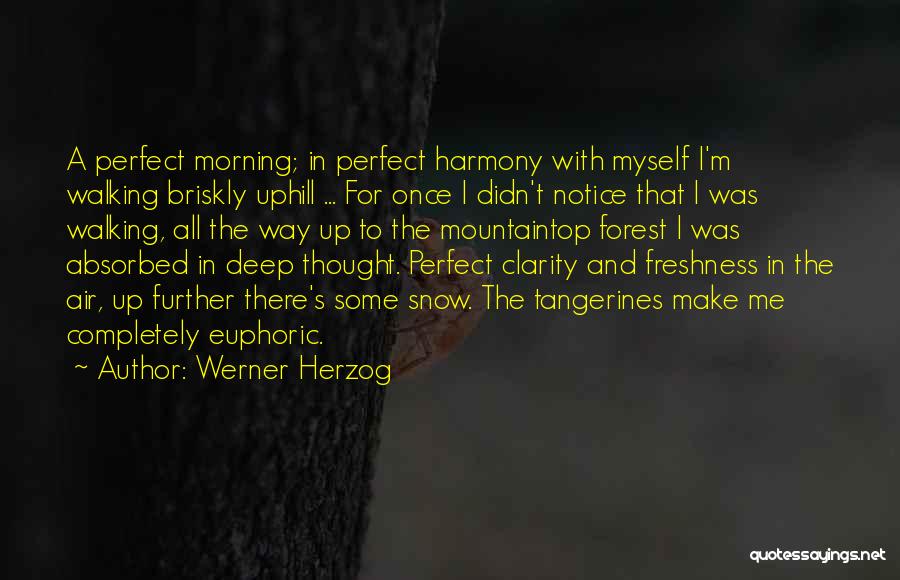 Werner Herzog Quotes: A Perfect Morning; In Perfect Harmony With Myself I'm Walking Briskly Uphill ... For Once I Didn't Notice That I