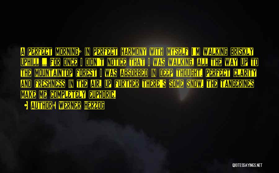 Werner Herzog Quotes: A Perfect Morning; In Perfect Harmony With Myself I'm Walking Briskly Uphill ... For Once I Didn't Notice That I