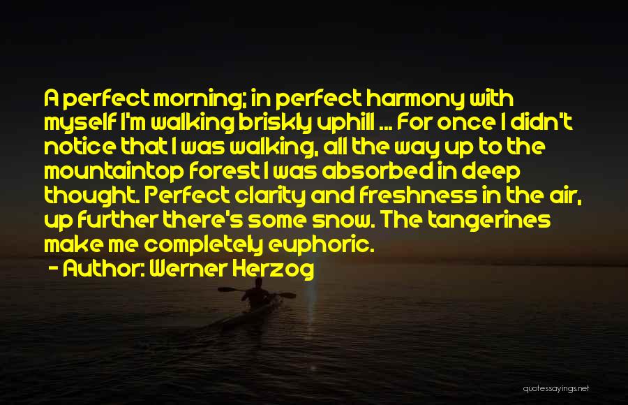 Werner Herzog Quotes: A Perfect Morning; In Perfect Harmony With Myself I'm Walking Briskly Uphill ... For Once I Didn't Notice That I