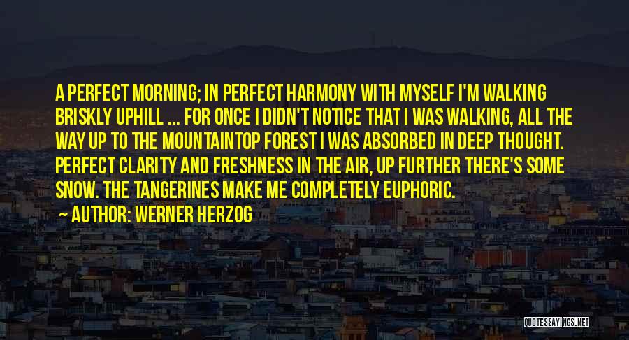 Werner Herzog Quotes: A Perfect Morning; In Perfect Harmony With Myself I'm Walking Briskly Uphill ... For Once I Didn't Notice That I