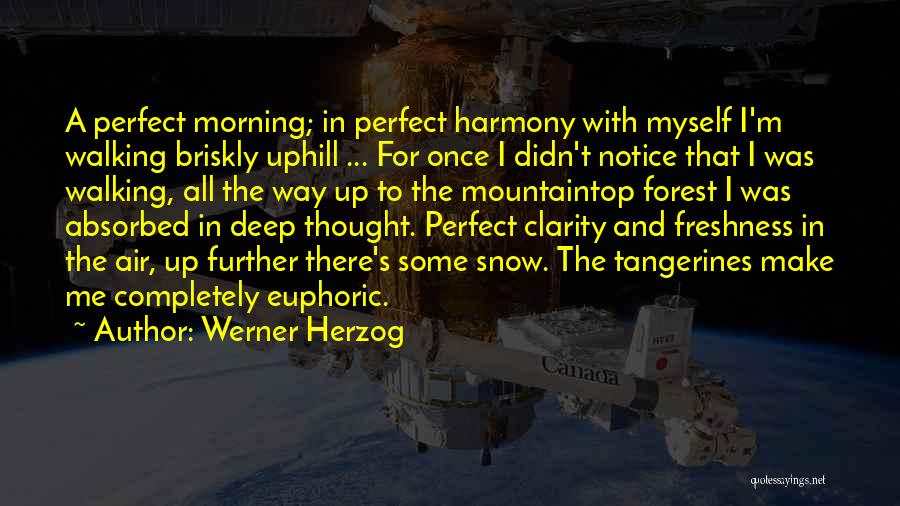 Werner Herzog Quotes: A Perfect Morning; In Perfect Harmony With Myself I'm Walking Briskly Uphill ... For Once I Didn't Notice That I