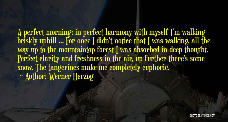 Werner Herzog Quotes: A Perfect Morning; In Perfect Harmony With Myself I'm Walking Briskly Uphill ... For Once I Didn't Notice That I