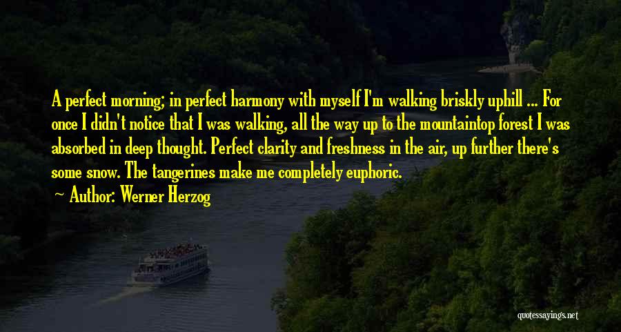 Werner Herzog Quotes: A Perfect Morning; In Perfect Harmony With Myself I'm Walking Briskly Uphill ... For Once I Didn't Notice That I